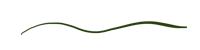 a green wavy line on a black background