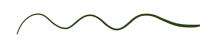 a green wave on a black background