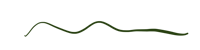 a green wave on a black background